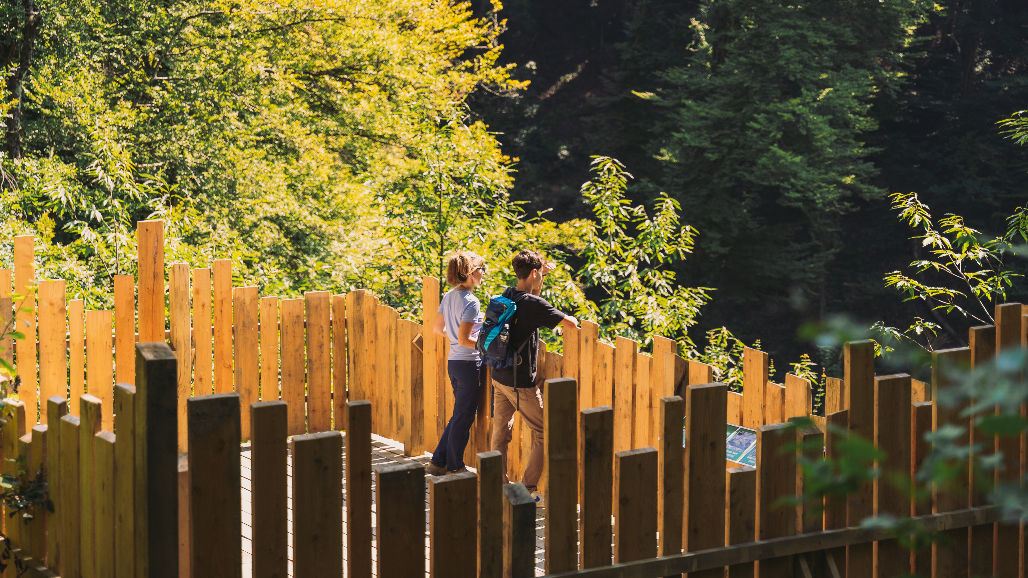 Pully Foret Sentier Didactique 0004