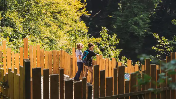 Pully Foret Sentier Didactique 0004