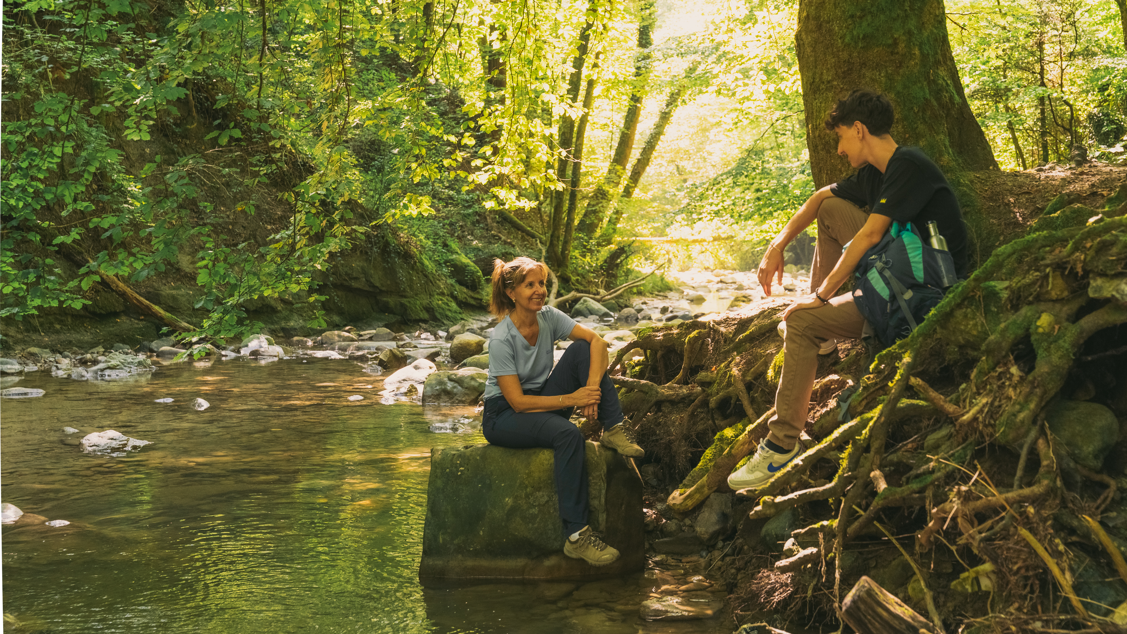 Pully Foret Ambiance 0025