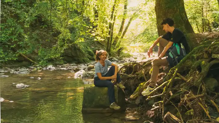 Pully Foret Ambiance 0025