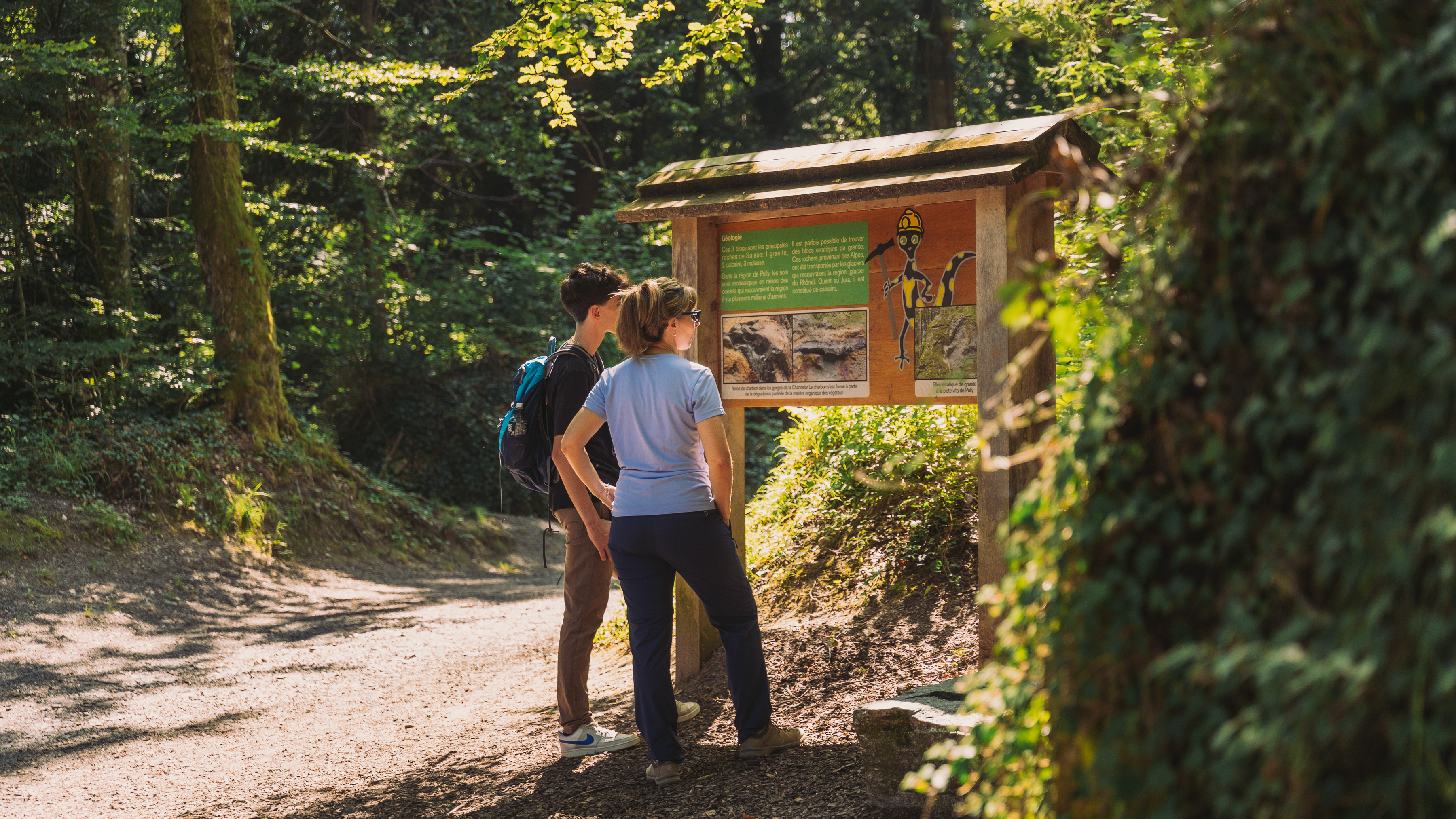 Pully Foret Sentier Didactique 0002