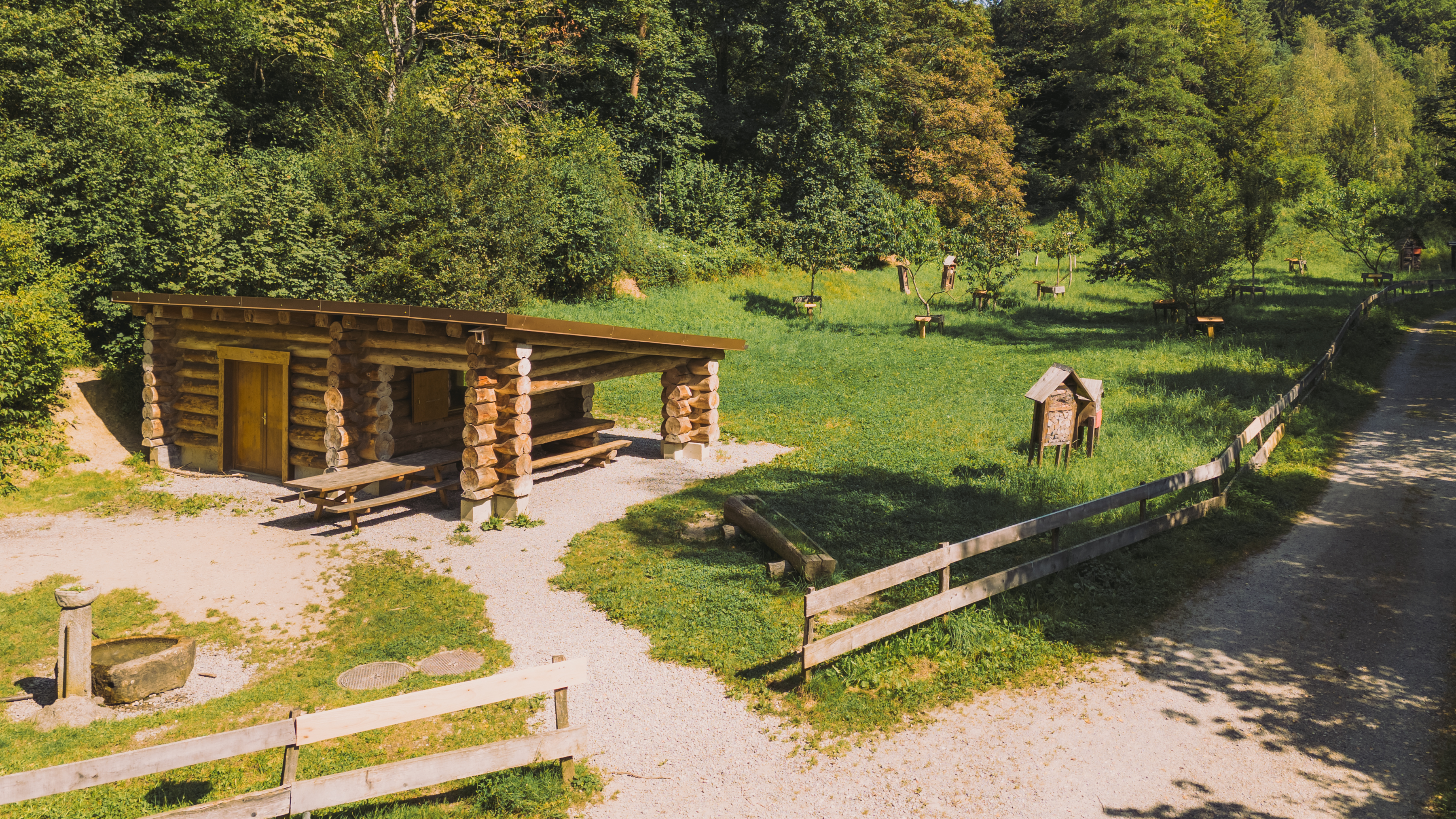 Pully Foret Pique Nique 0003