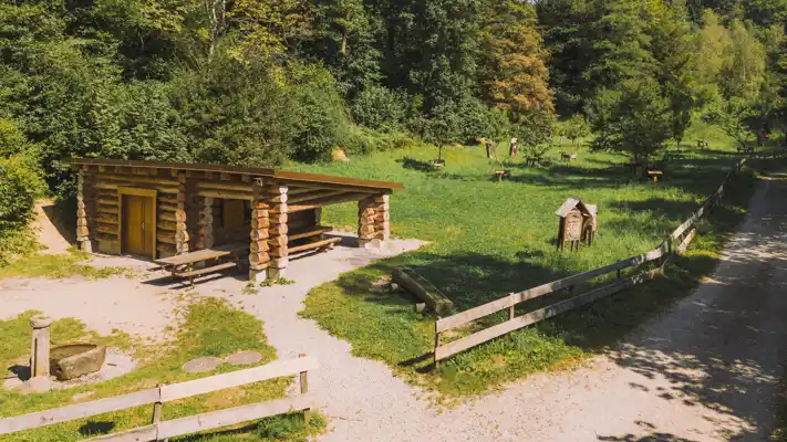 Pully Foret Pique Nique 0003