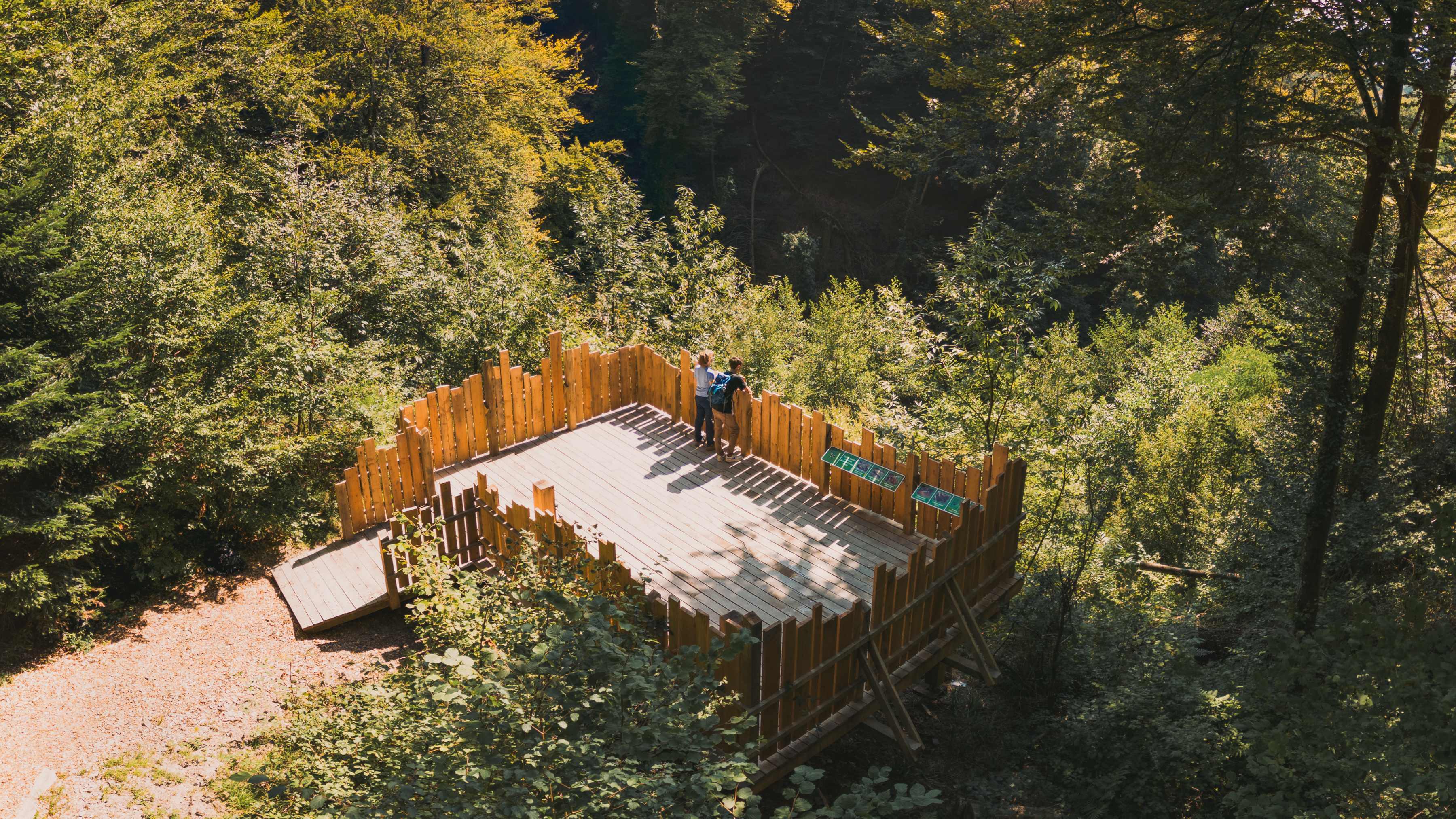 Pully Foret Sentier Didactique 0003