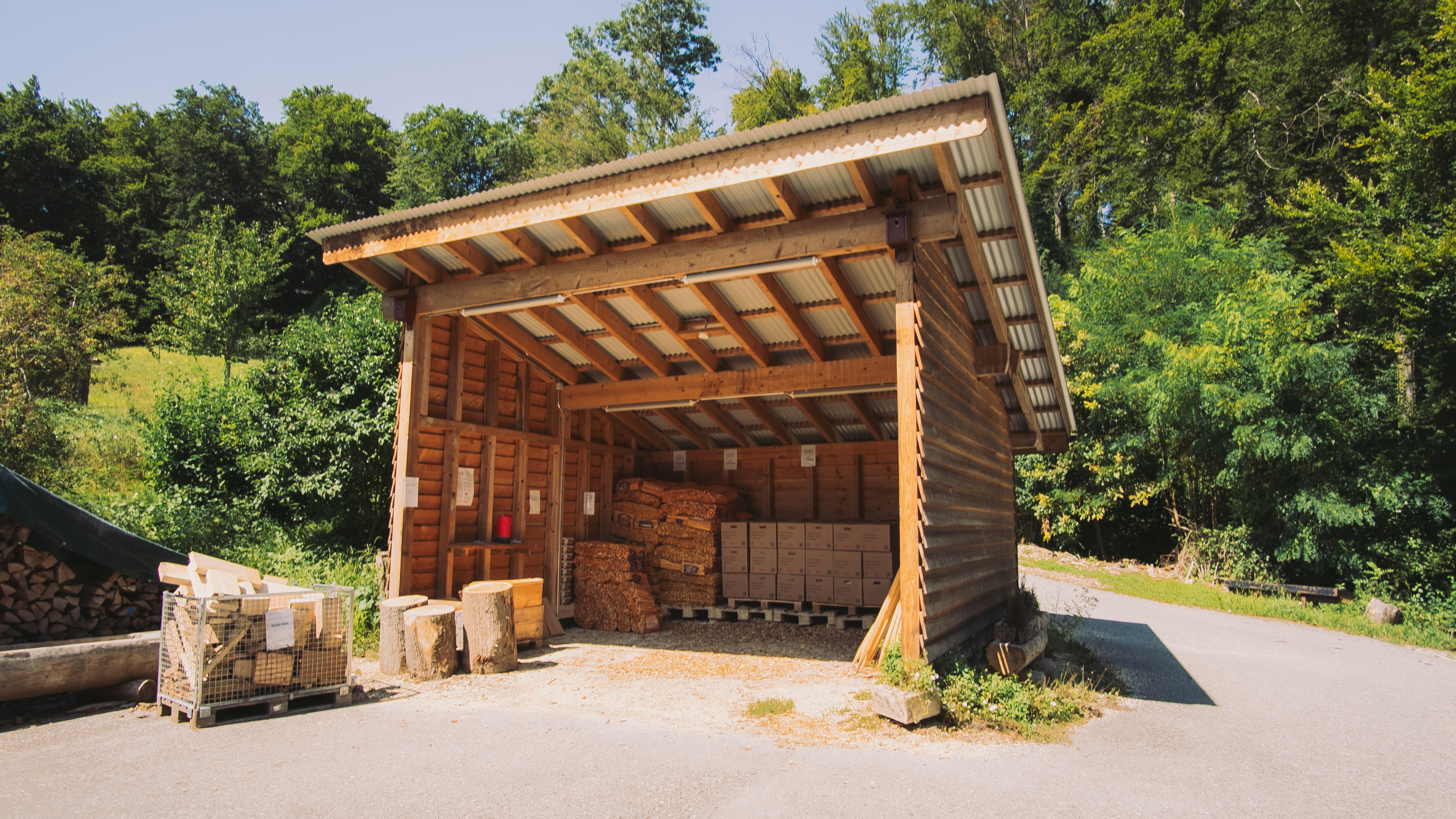 Pully Foret Equipe 0008