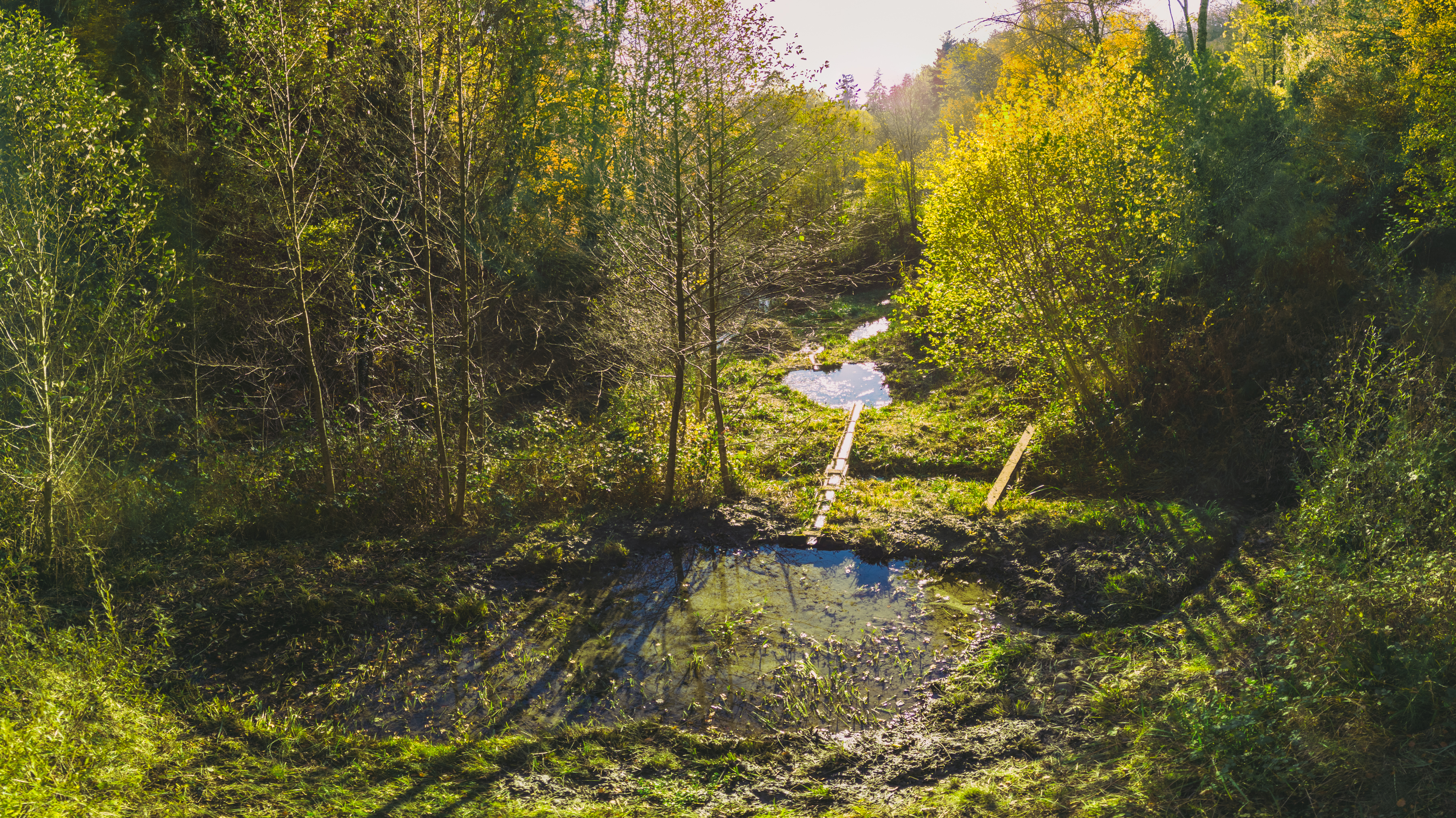 Pully Foret Ambiance 0027