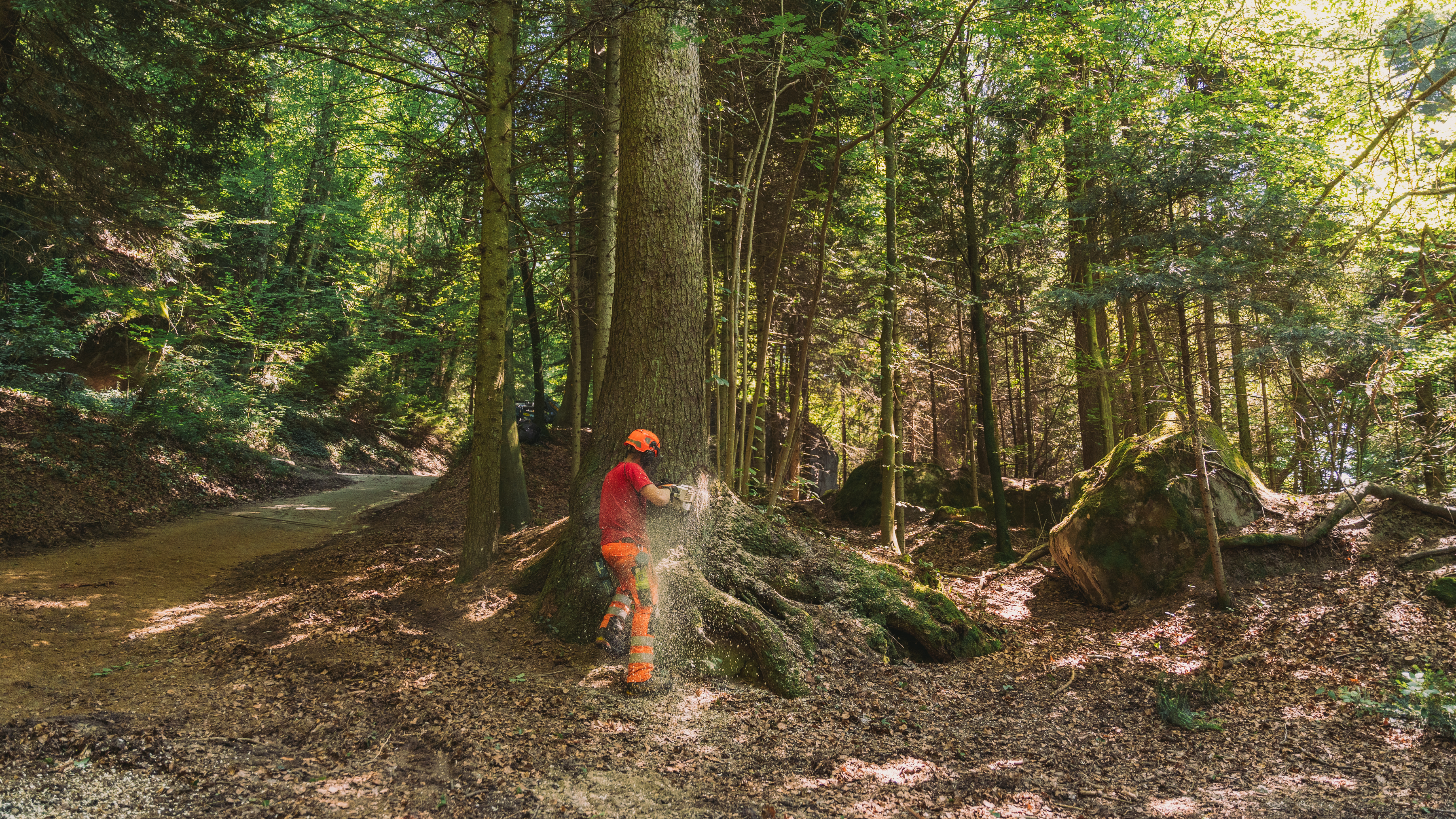 Pully Foret Equipe 0003