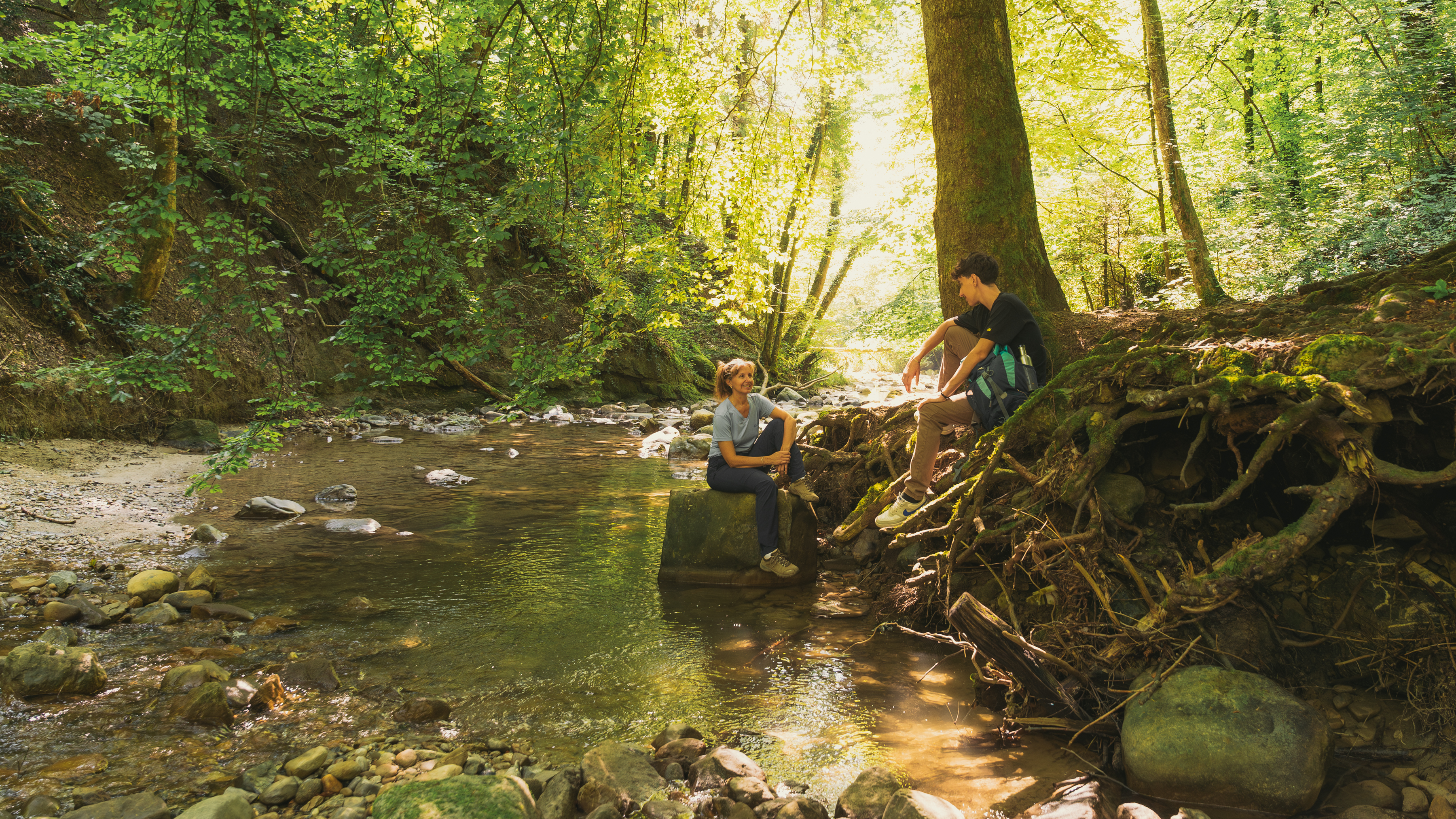 Pully Foret Ambiance 0024