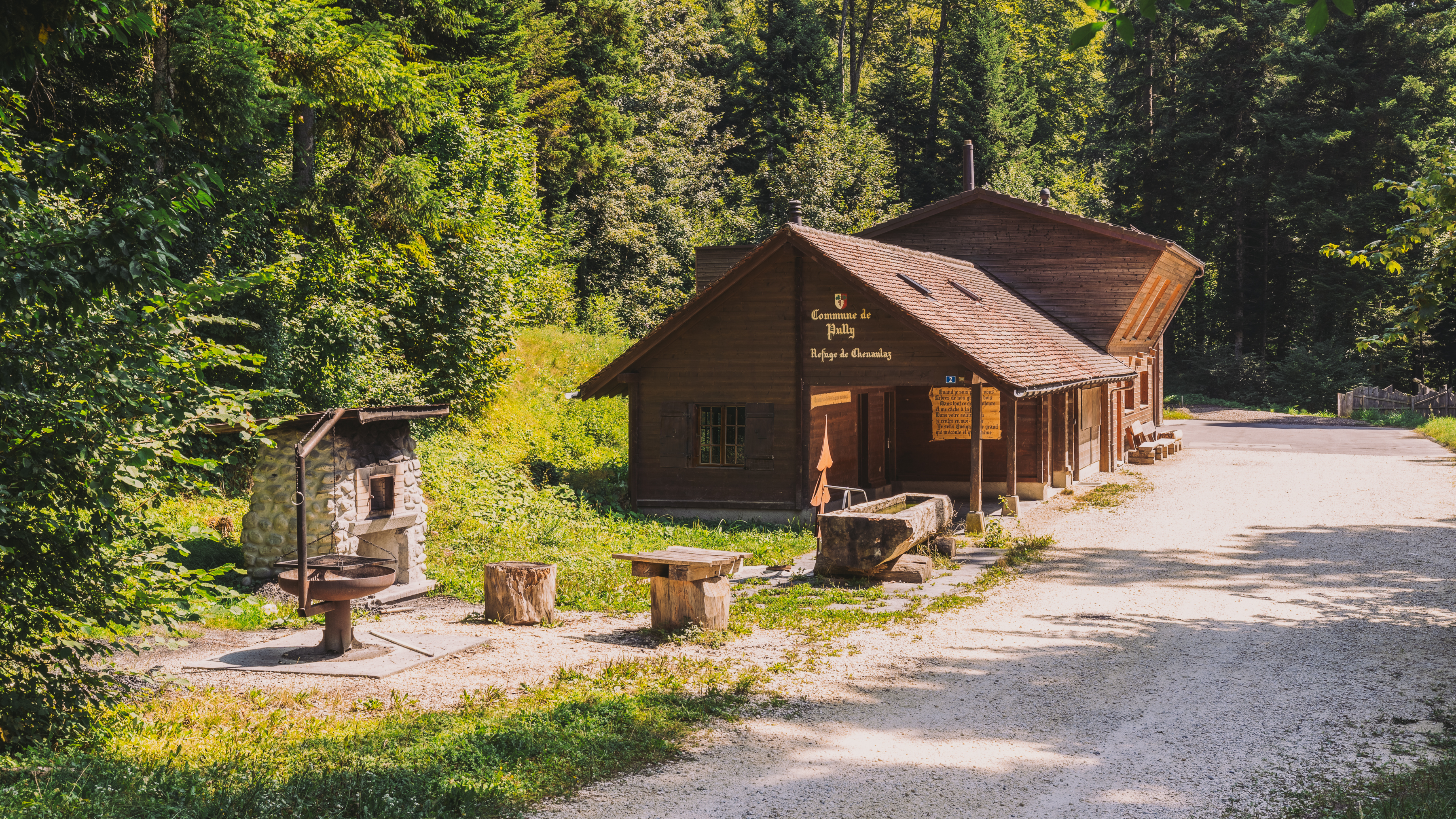 Pully Foret Pique Nique 0006