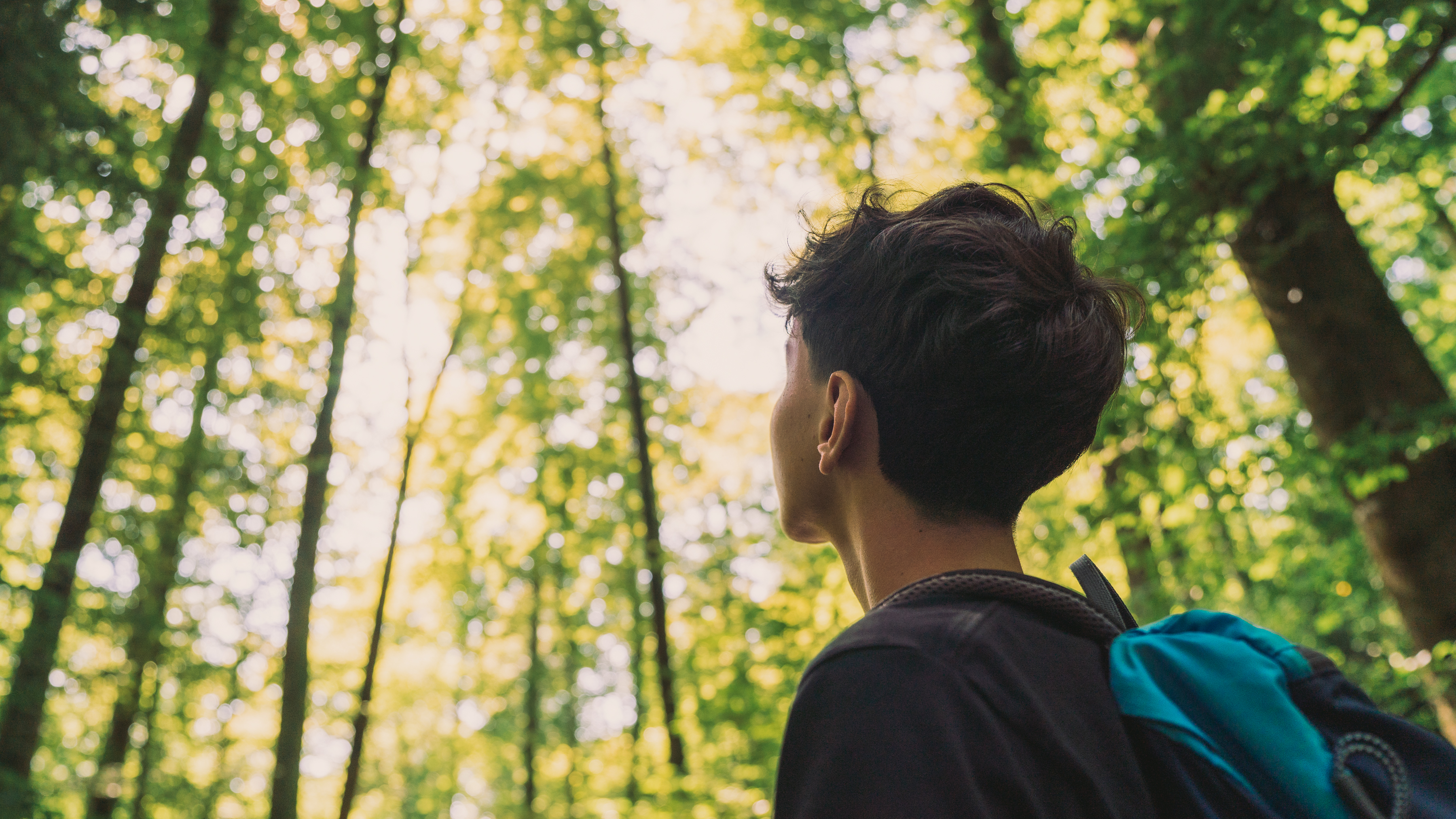 Pully Foret Ambiance 0023