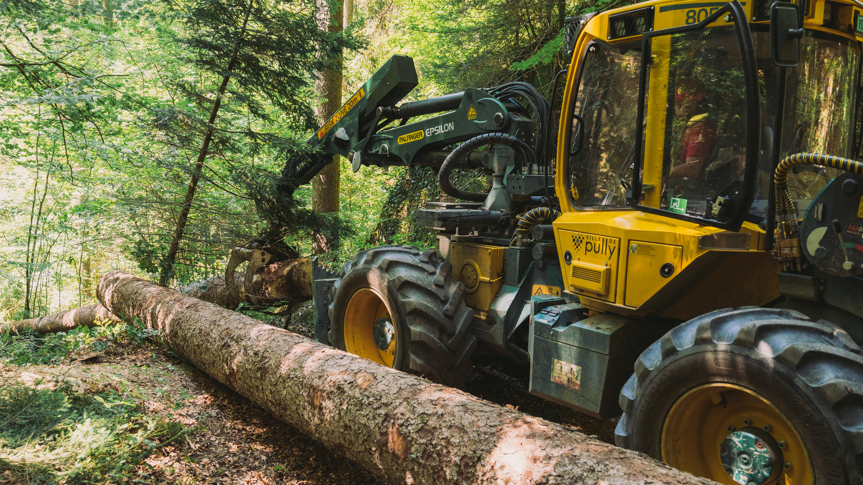 Pully Foret Equipe 0002