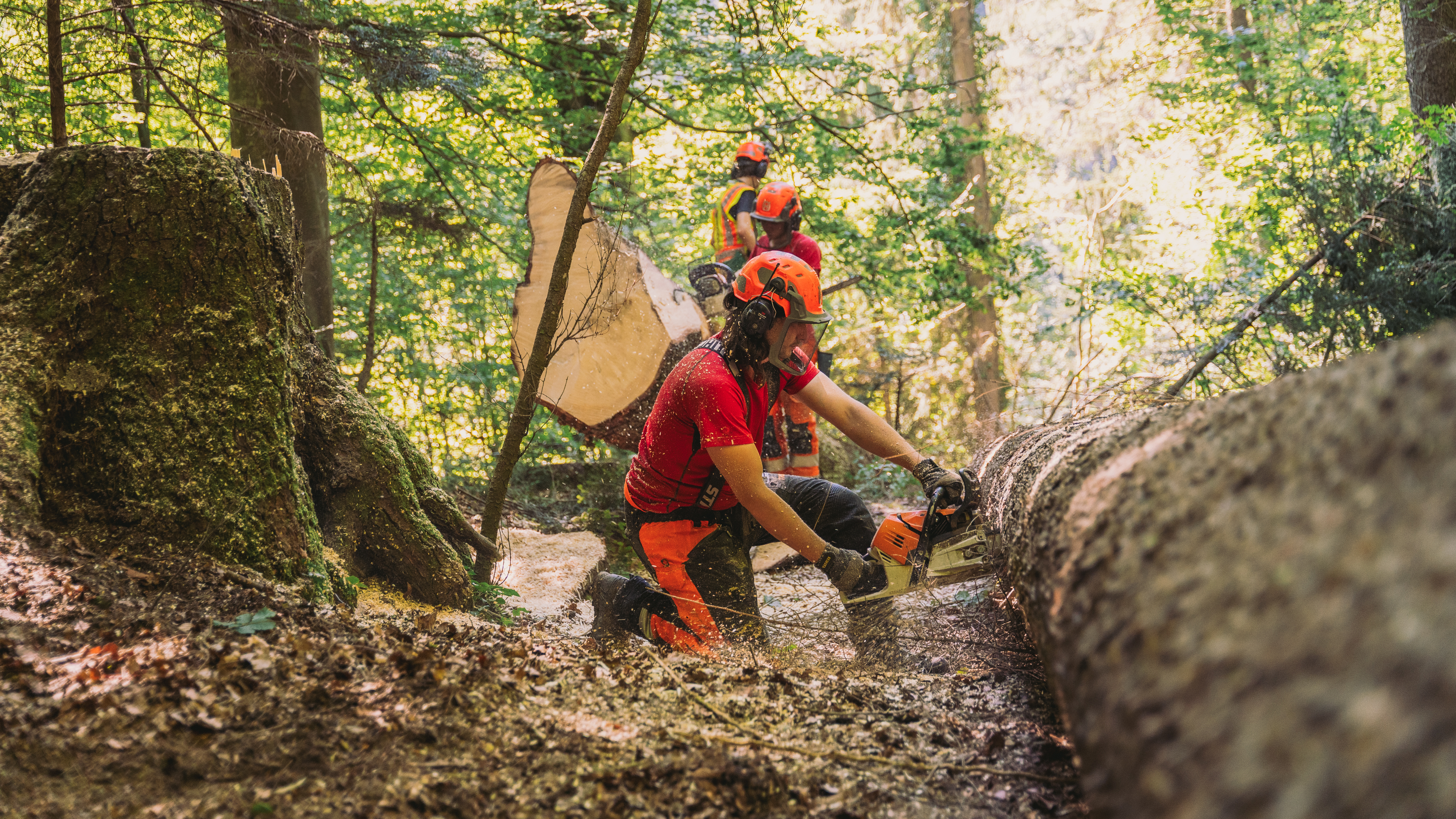 Pully Foret Equipe 0004